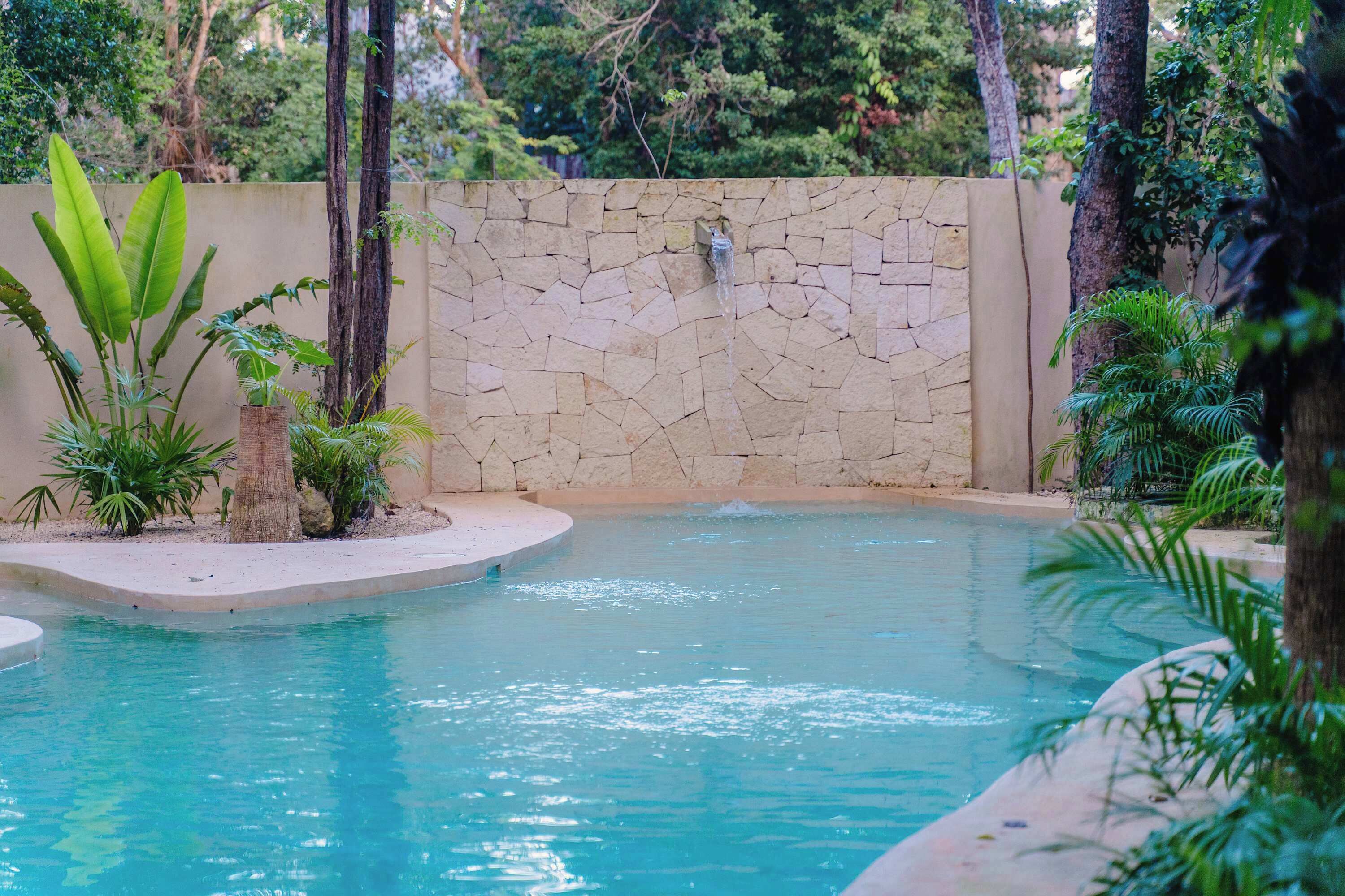 Ein Pool mit Steinmauer, umgeben von tropischer Bepflanzung.