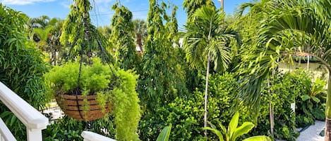 A lush garden with a variety of plants and a hanging planter.