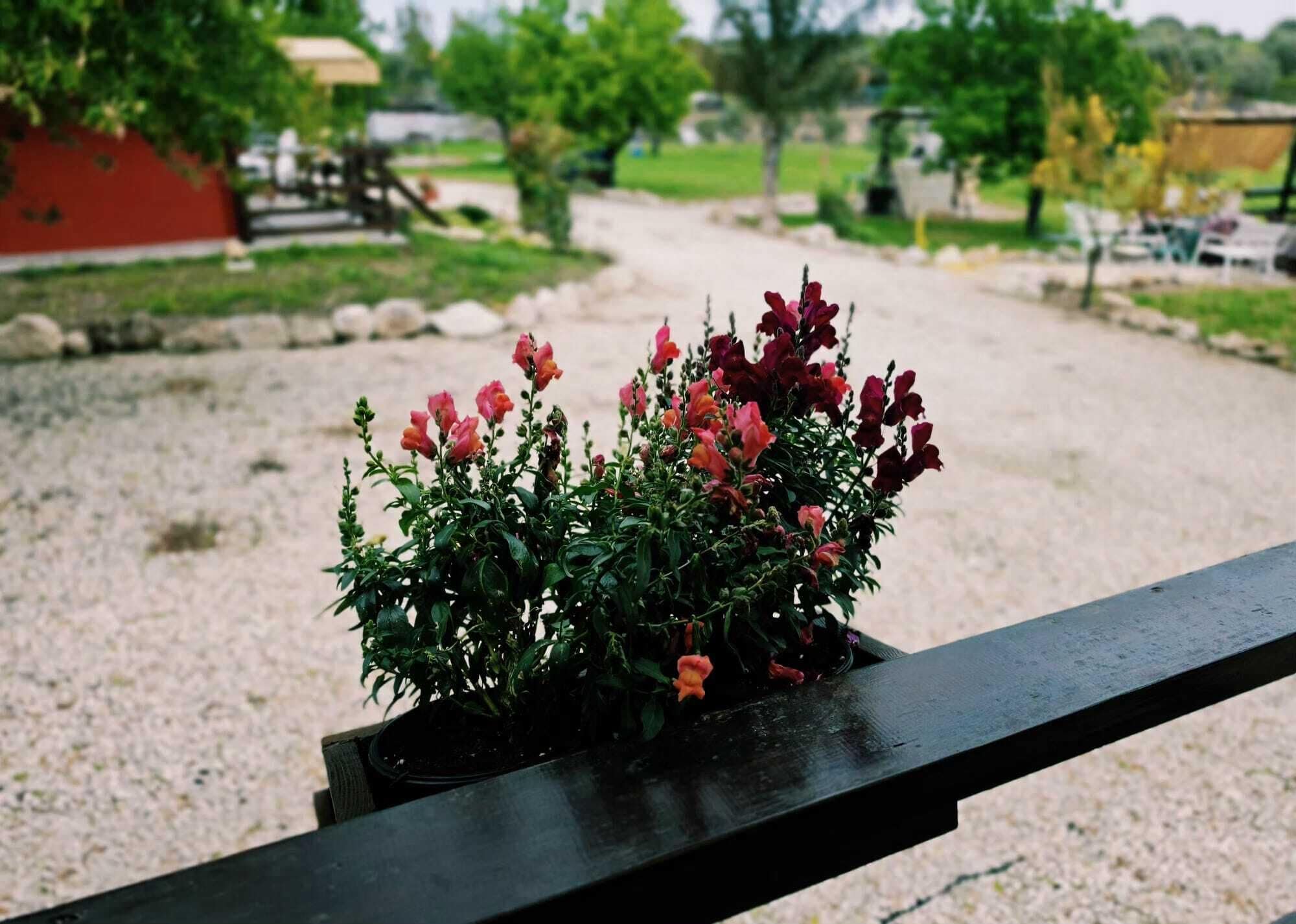 Bungalow, Garden View | Property grounds