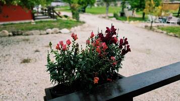 Bungalow, Garden View | Property grounds
