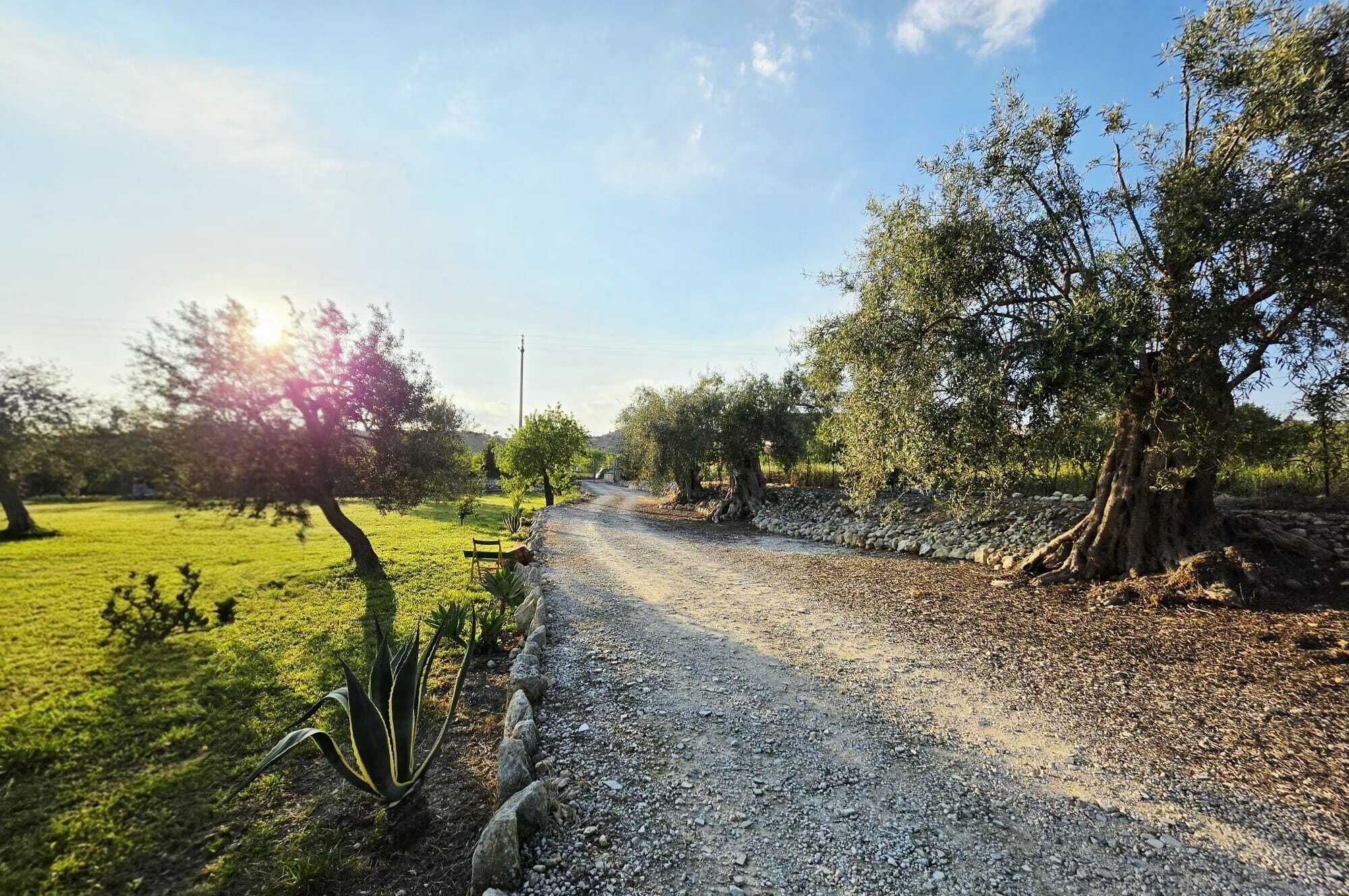 A gravel path leading through a rural landscape with trees and a grassy field.