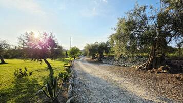A gravel path leading through a rural landscape with trees and a grassy field.