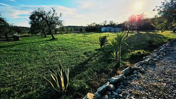 Khuôn viên nơi lưu trú