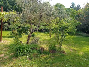 Overnatningsstedets område