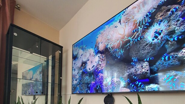 A room with a large flat-screen TV mounted on the wall displaying an underwater scene, potted plants on the floor, and a glass door leading to another room. - By trails and parks, near cafés, 25 min from Energylandia. (Bielsko-Biała)