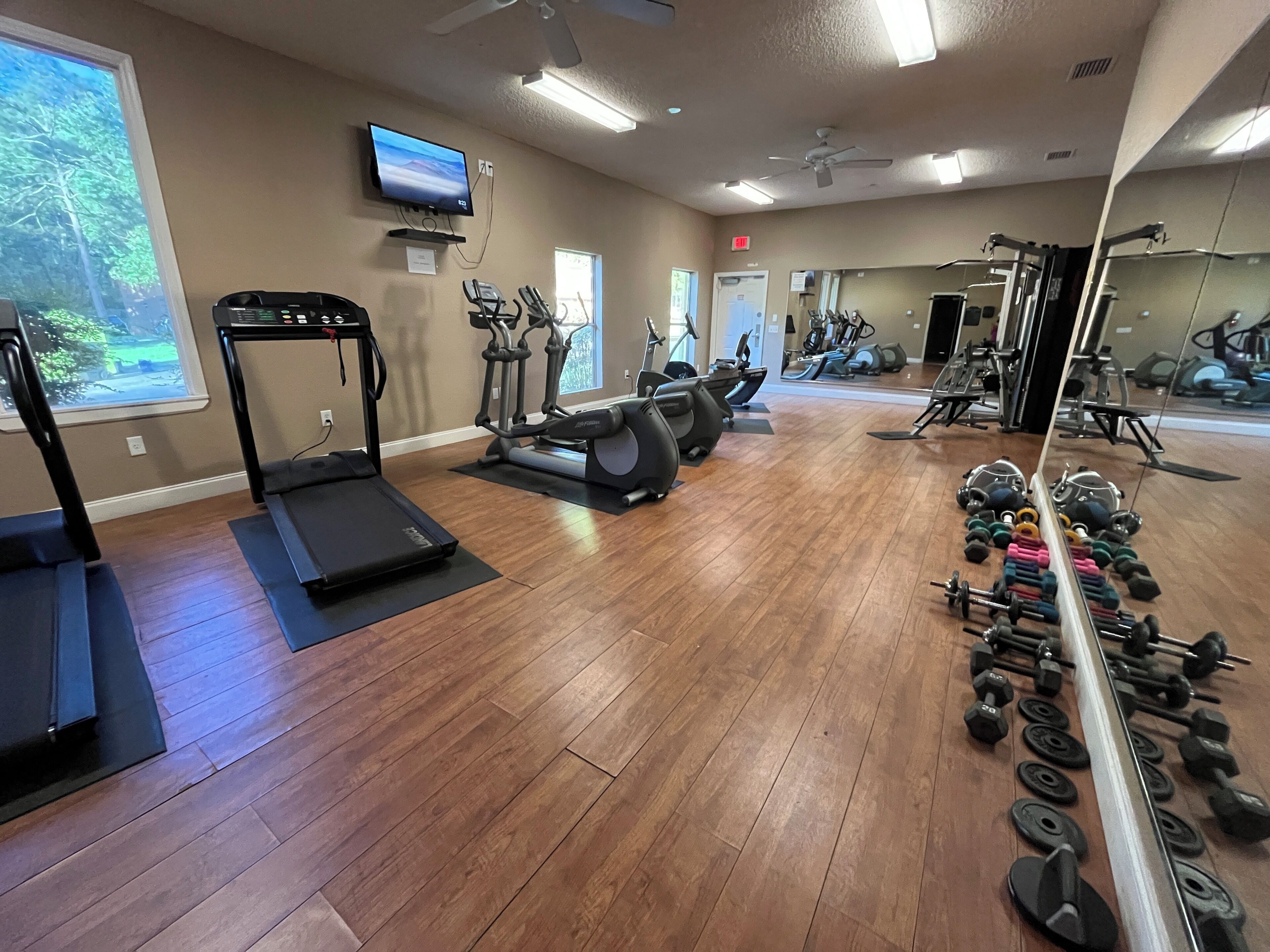 A gym with treadmills, elliptical machines, and free weights.