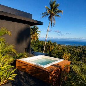 Un jacuzzi sur un balcon avec vue sur l’océan et les palmiers.