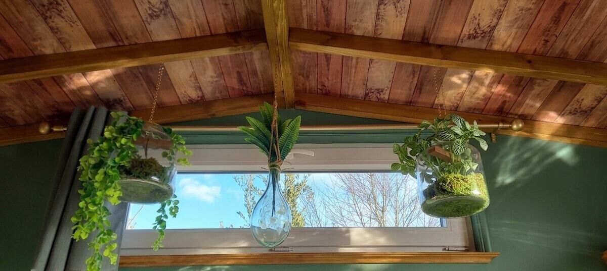 Ein Zimmer mit Holzbalkendecke, einem Fenster mit Blick auf Bäume und zwei hängende Pflanzgefäße mit Grünpflanzen.