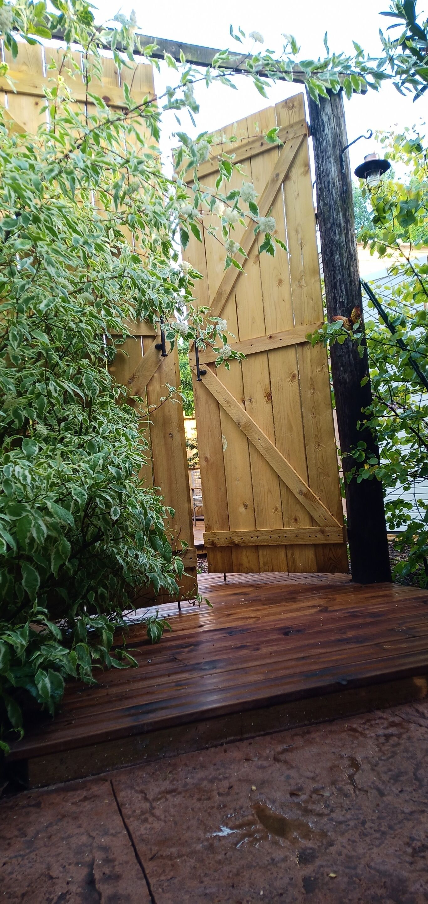 Ein hölzernes Tor mit einem Metallriegel, umgeben von Grünpflanzen und einer Holzterrasse.