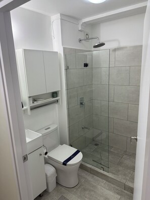 Shower, hair dryer, towels, soap - Spacious 3-bedroom apartment with AC in superb San Rafael (San Rafael)