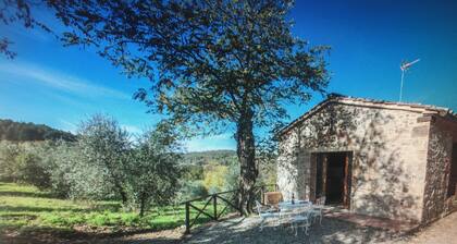 Cottage Beba