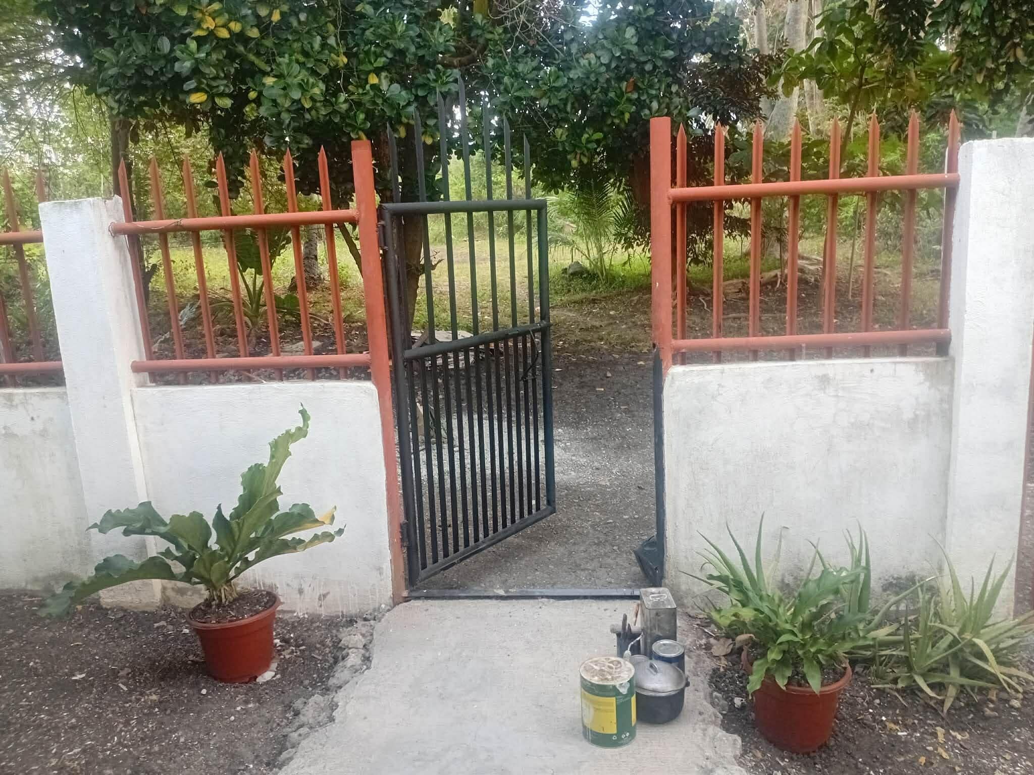 Una entrada protegida con un portón metálico, plantas en macetas y un camino de hormigón que conduce a una zona verde exuberante.