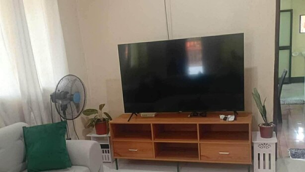 Ein Wohnzimmer mit einem Flachbildfernseher auf einem Holzboden, einem grauen Sofa mit einem grünen Kissen, einem kleinen Tisch mit einer Pflanze und einem weißen Ventilator.