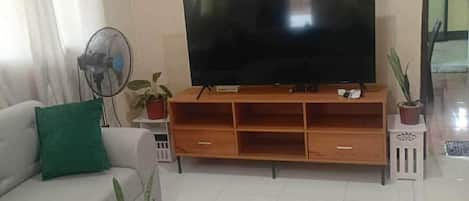 TV