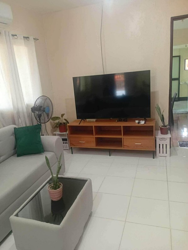 Fernseher