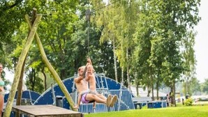 Un ensemble de balançoires en bois dans un parc, avec des arbres et une structure bleue en arrière-plan.