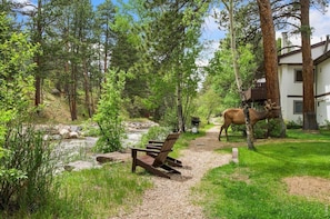 Une zone boisée avec une chaise en bois, un barbecue et une statue de chameau.