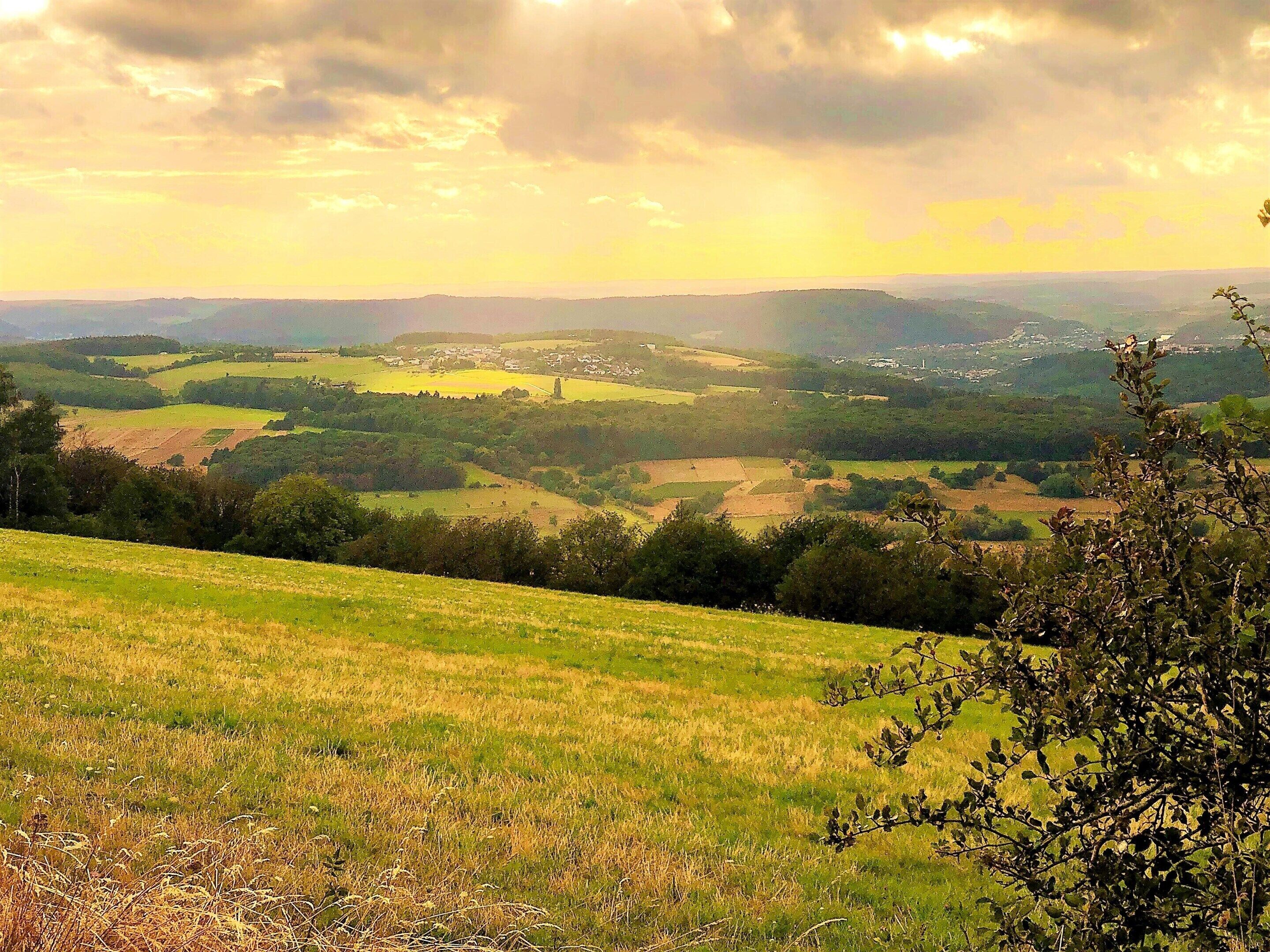 A panoramic view of a hilly landscape with fields and distant buildings.