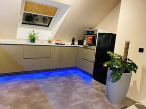 A modern kitchen with a built-in oven, a refrigerator, and a potted plant. - Cozy vacation and trade fair apartment directly on the Rhine - Wesseling  (Wesseling)