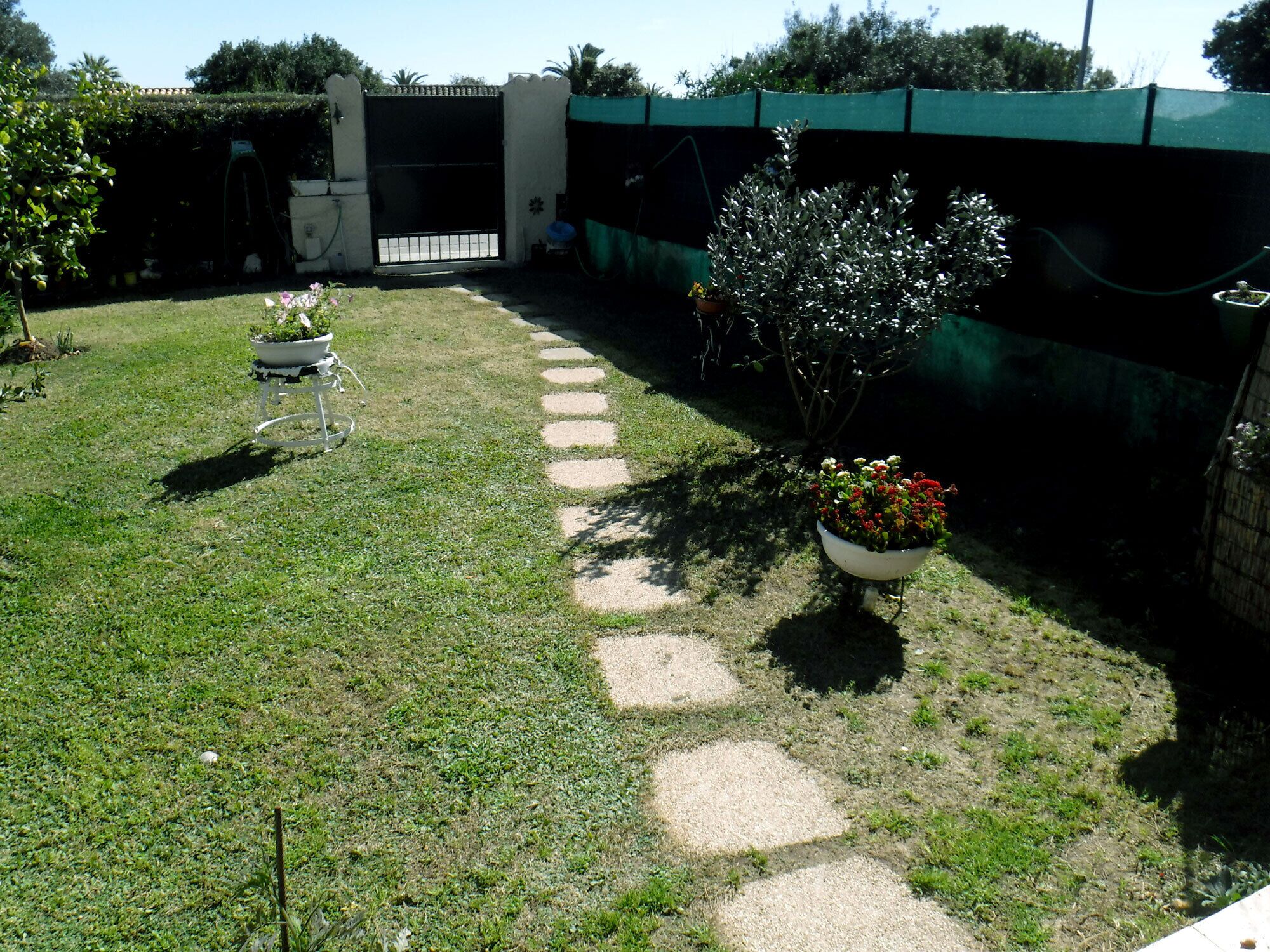 Parco della struttura