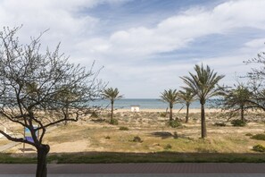 Ein Strand mit Palmen, einem Weg und Blick aufs Meer.