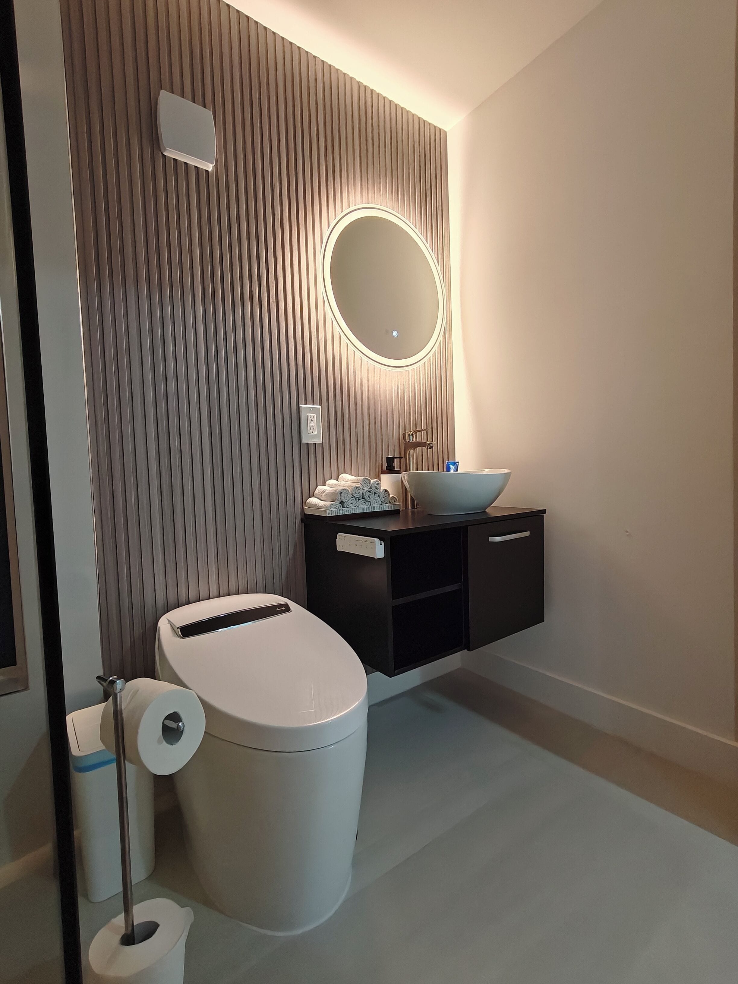 Shower, hair dryer, bidet, towels