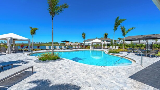 Una piscina con sillas de descanso, palmeras y un cielo azul despejado.