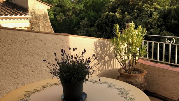 Een ronde tafel met een plant in pot, een stoel en een balkon met een hekwerk.