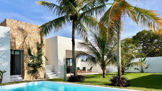 A modern pool area with a stone wall, palm trees, and a clear blue pool.