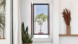 A modern interior with a cat, a potted plant, and a view through a doorway.