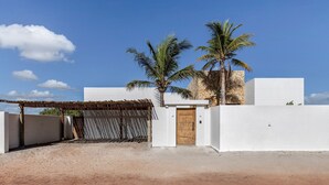 A modern building with a white exterior, a wooden door, and two palm trees in the background.