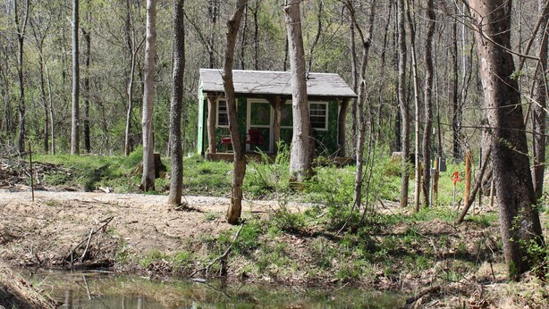 Eine Hütte, umgeben von Bäumen und einem kleinen Teich.
