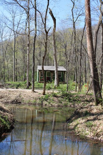Tiny "Topiary" cabin in the forest