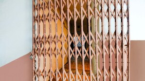 A room with a patterned metal gate, wooden flooring, and a visible bed with a patterned bedspread. - Deluxehotel Mayur Residency (Gorakhpur)