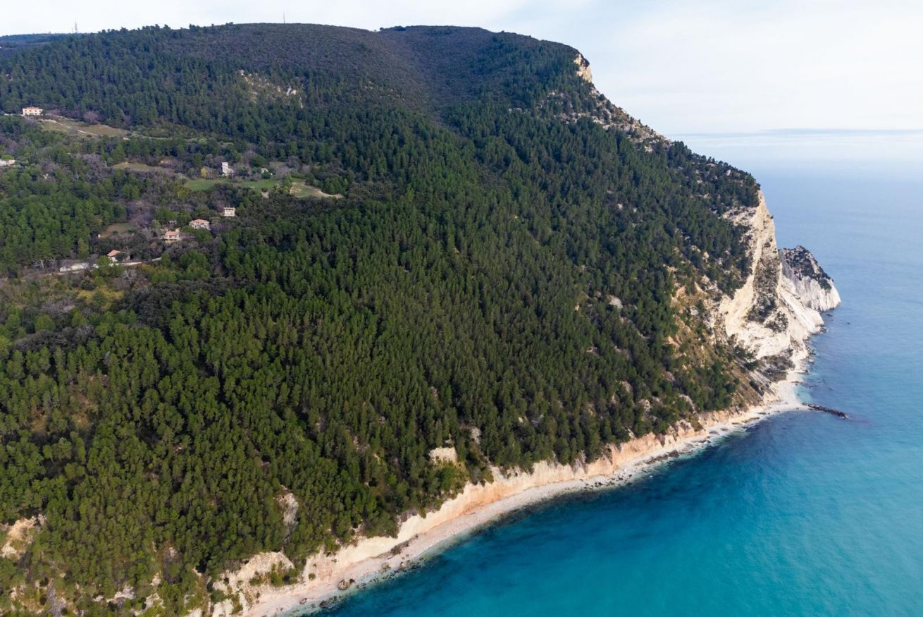 Vista aérea de una zona costera con bosque denso, una playa y un acantilado sobre el mar.