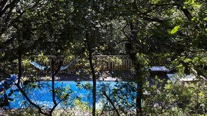 A swimming pool surrounded by trees and a wooden fence.