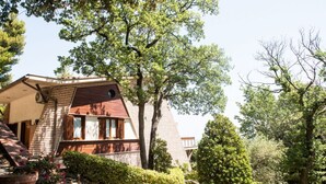 A house with a sloped roof, a chimney, and a garden with various plants and trees.
