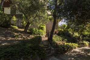 Un sentier mène à un bâtiment en bois, entouré d’une végétation luxuriante et délimité par un mur de pierre.