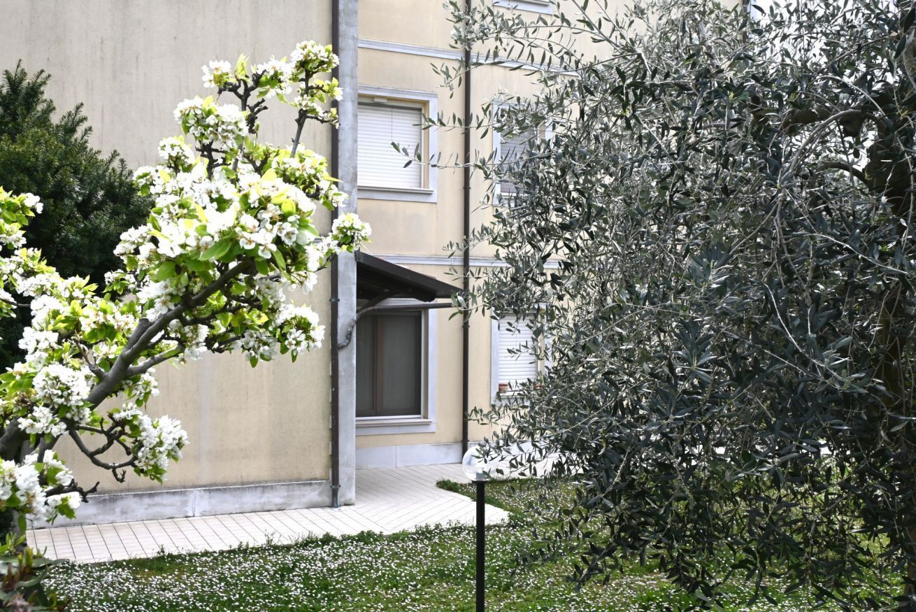 Un edificio con una puerta, un pequeño jardín con flores blancas y un árbol de follaje denso.