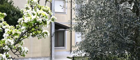 Un edificio con una puerta, un pequeño jardín con flores blancas y un árbol de follaje denso.