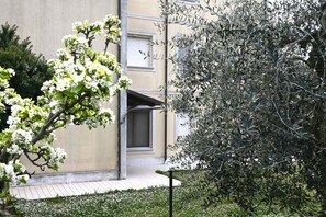 A building with a door, a small garden with white flowers, and a tree with dense foliage. - SE244 - Senigallia, large four-room apartment  (Senigallia)
