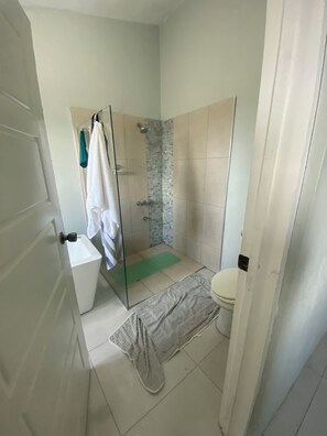 Shower, towels, soap, toilet paper - Wonderful 5-bedroom house in lovely Port Antonio, convenient location (Port Antonio)