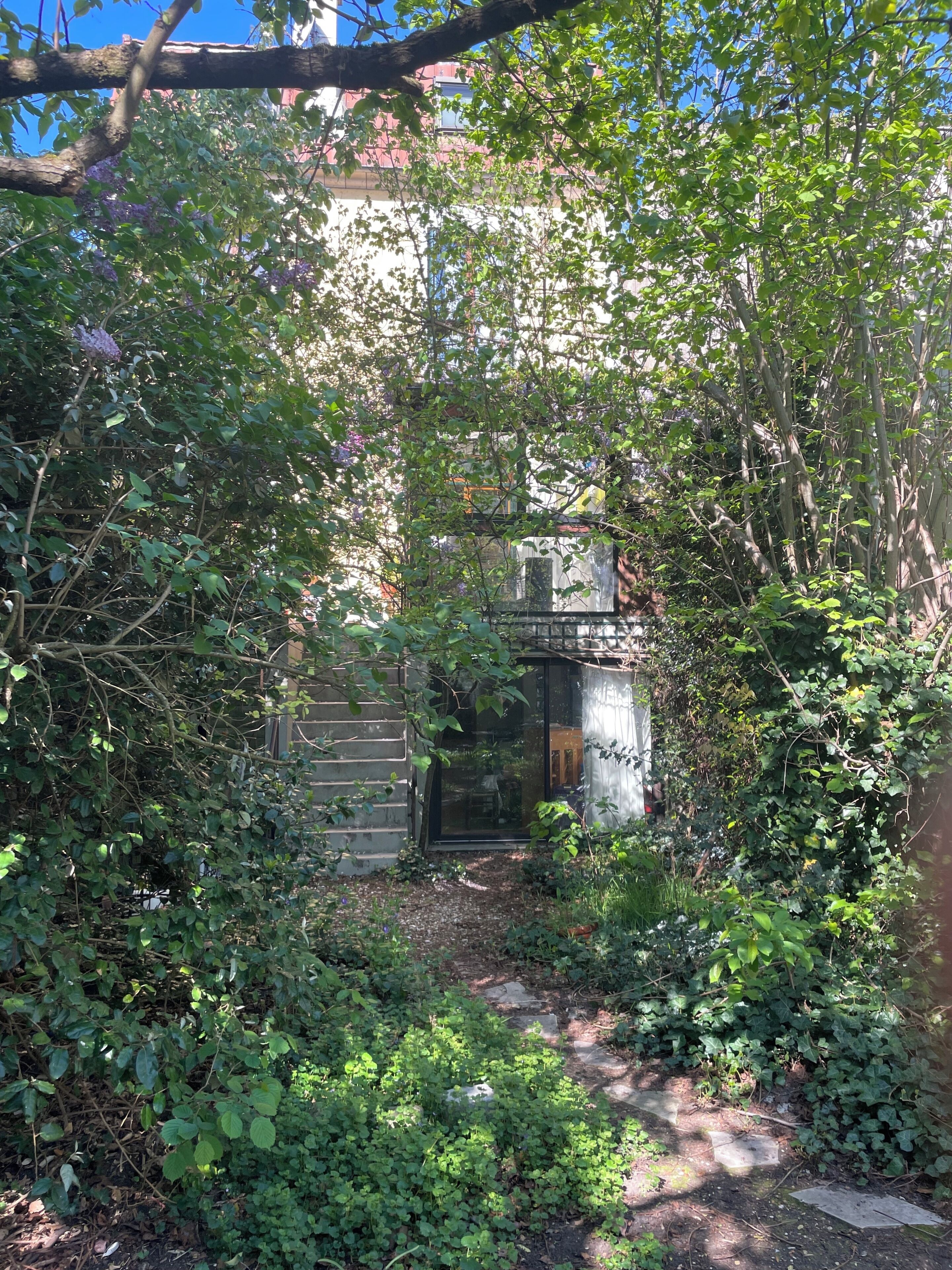 A garden with dense foliage, a pathway, and a building with a glass door.