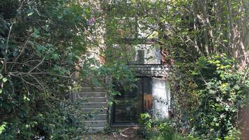 A garden with dense foliage, a pathway, and a building with a glass door.