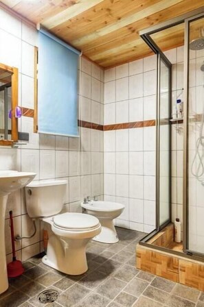 Hair dryer, bidet, towels, soap