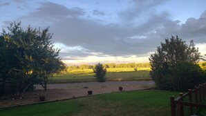 Paisaje rural con un campo, árboles y una cerca.