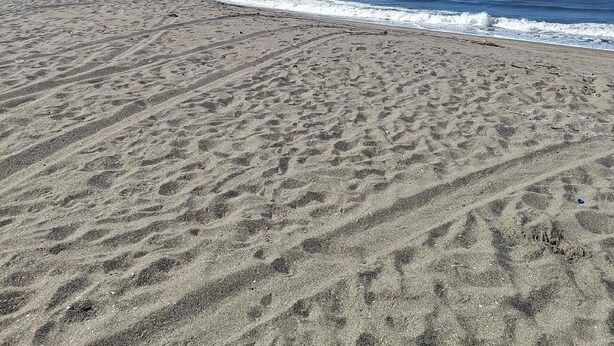 Uma praia de areia com pegadas que levam à água, céu limpo e ondas suaves.