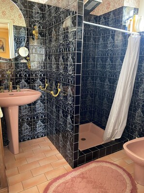 Shower, hair dryer, bidet, towels