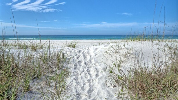 Ein Sandstrand mit Gras im Vordergrund und einem wolkenlosen, blauen Himmel.