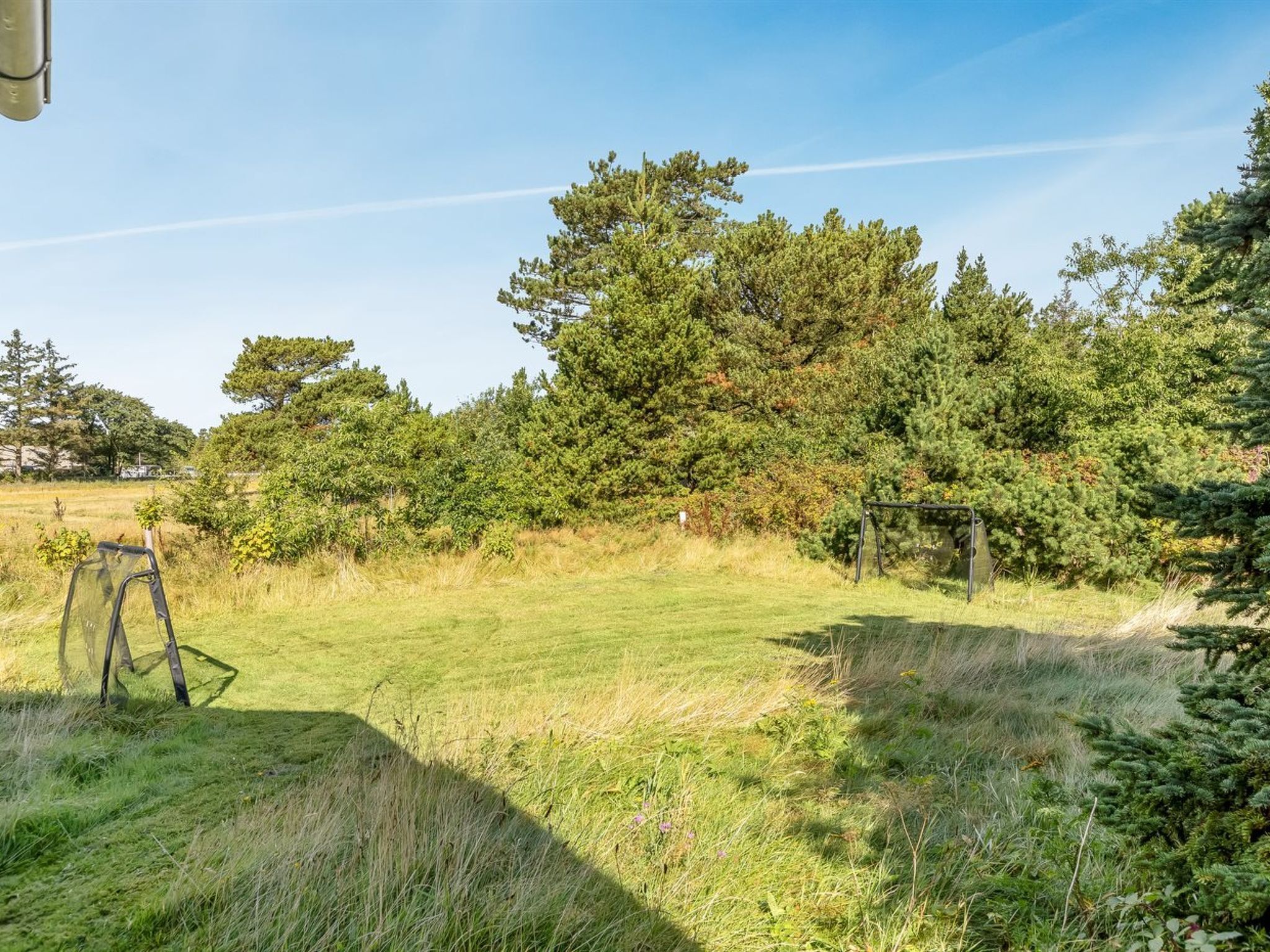 Een grasveld met bomen en een schommel.